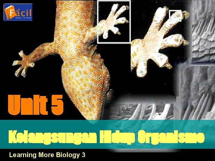 Unit 5 Kelangsungan Hidup Organisme Learning More Biology 3 