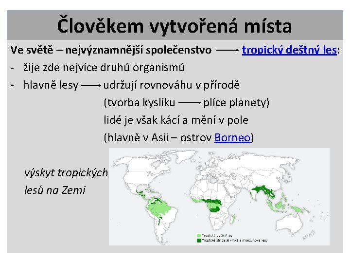 Člověkem vytvořená místa Ve světě – nejvýznamnější společenstvo tropický deštný les: - žije zde