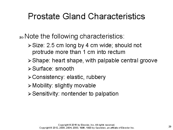 Prostate Gland Characteristics Note the following characteristics: Ø Size: 2. 5 cm long by