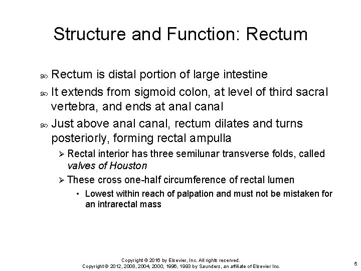 Structure and Function: Rectum is distal portion of large intestine It extends from sigmoid