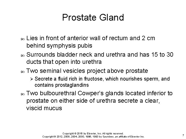 Prostate Gland Lies in front of anterior wall of rectum and 2 cm behind