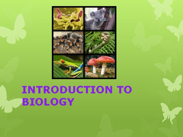 INTRODUCTION TO BIOLOGY 