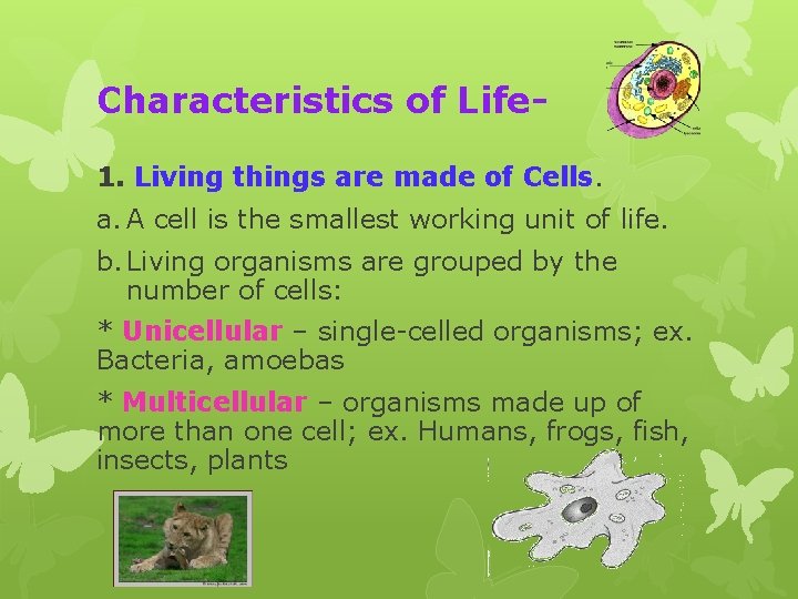 Characteristics of Life 1. Living things are made of Cells. a. A cell is