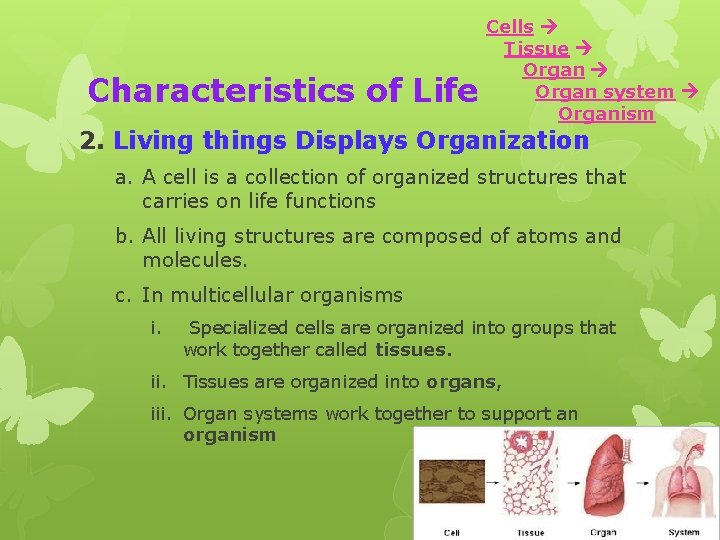 Characteristics of Life Cells Tissue Organ system Organism 2. Living things Displays Organization a.