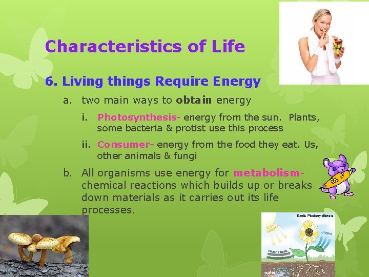 Characteristics of Life 6. Living things Require Energy a. two main ways to obtain