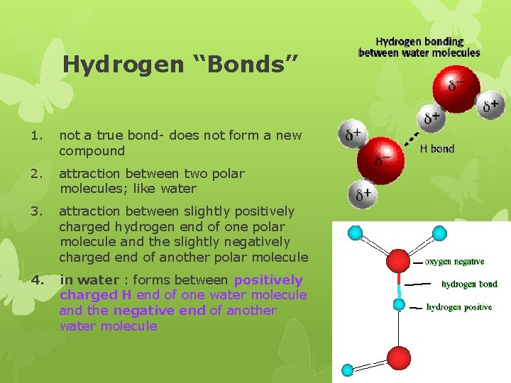 Hydrogen “Bonds” 1. not a true bond- does not form a new compound 2.