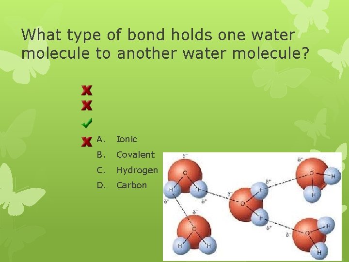 What type of bond holds one water molecule to another water molecule? A. Ionic
