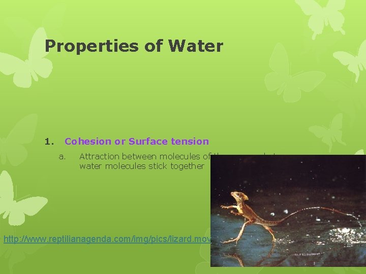 Properties of Water 1. Cohesion or Surface tension a. Attraction between molecules of the