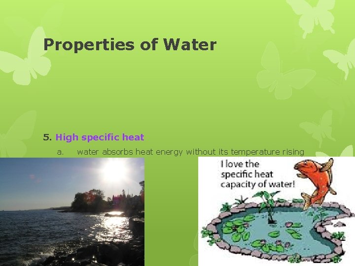 Properties of Water 5. High specific heat a. water absorbs heat energy without its