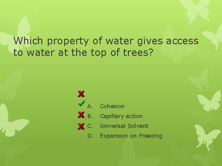 Which property of water gives access to water at the top of trees? A.