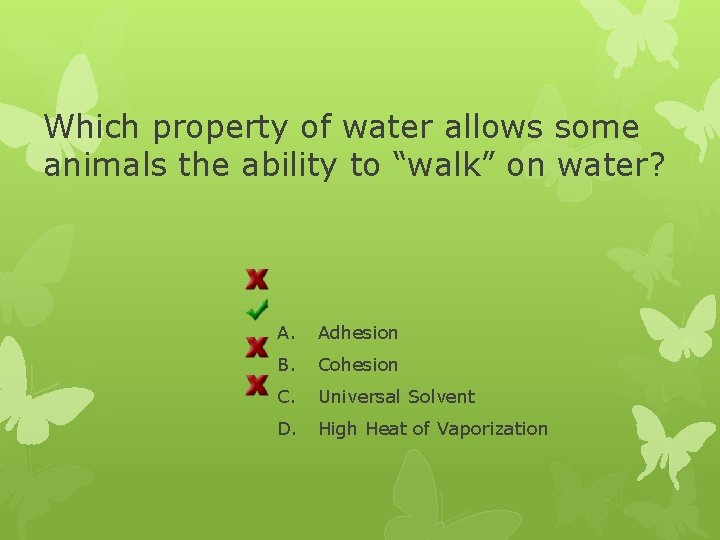 Which property of water allows some animals the ability to “walk” on water? A.