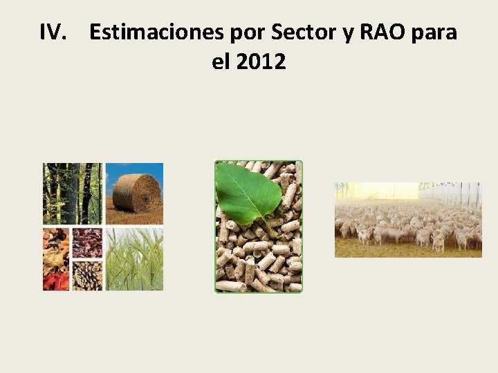 IV. Estimaciones por Sector y RAO para el 2012 