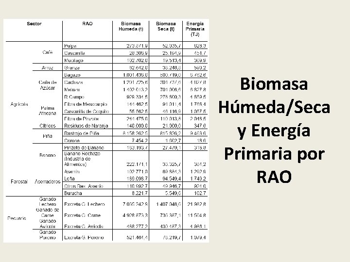 Biomasa Húmeda/Seca y Energía Primaria por RAO 