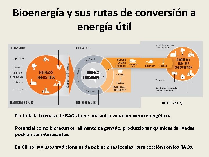 Bioenergía y sus rutas de conversión a energía útil REN 21 (2012) No toda