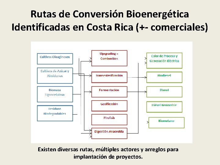 Rutas de Conversión Bioenergética Identificadas en Costa Rica (+- comerciales) Existen diversas rutas, múltiples