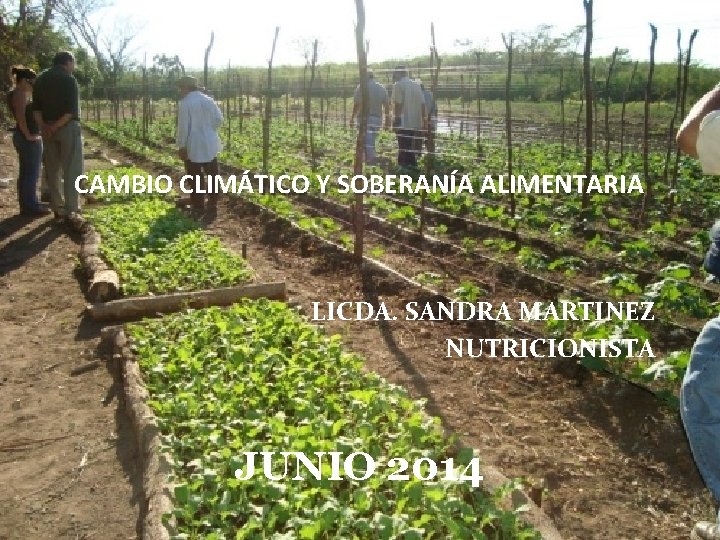 CAMBIO CLIMÁTICO Y SOBERANÍA ALIMENTARIA LICDA. SANDRA MARTINEZ NUTRICIONISTA JUNIO 2014 