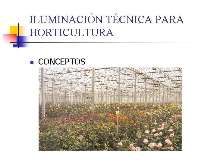 ILUMINACIÓN TÉCNICA PARA HORTICULTURA n CONCEPTOS 