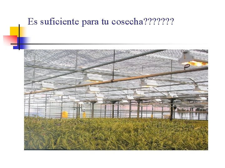 Es suficiente para tu cosecha? ? ? ? 