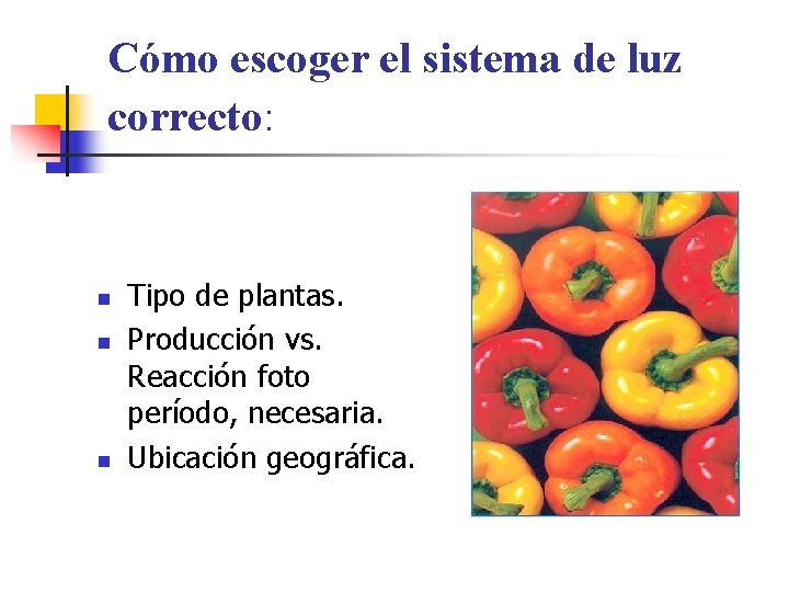 Cómo escoger el sistema de luz correcto: n n n Tipo de plantas. Producción