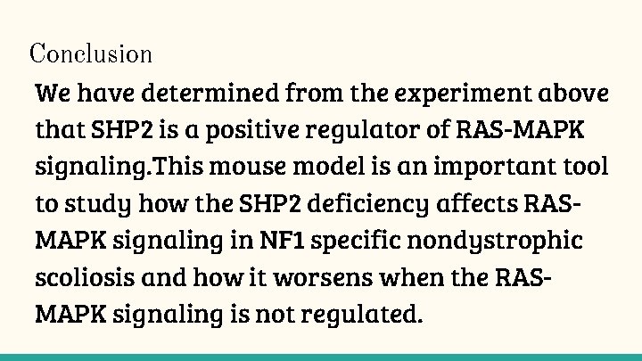 Conclusion We have determined from the experiment above that SHP 2 is a positive