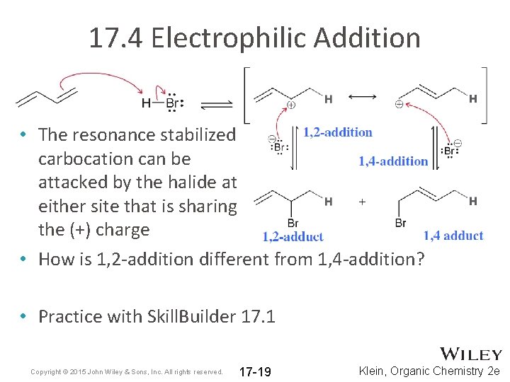17. 4 Electrophilic Addition • The resonance stabilized carbocation can be attacked by the