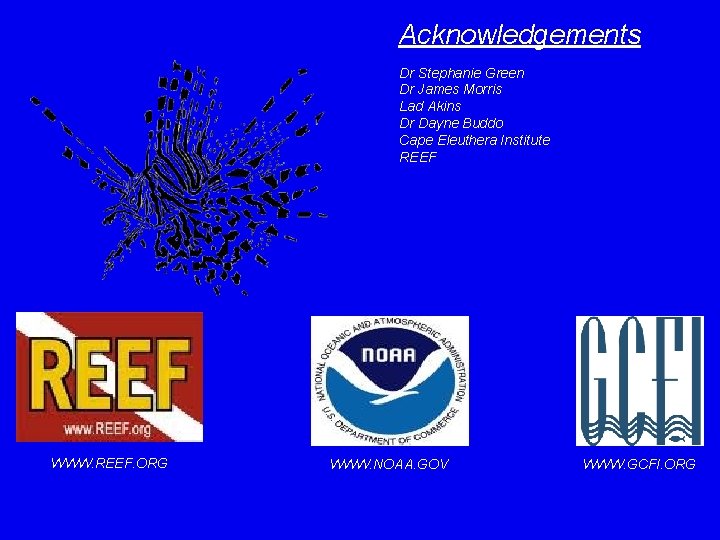 Acknowledgements Dr Stephanie Green Dr James Morris Lad Akins Dr Dayne Buddo Cape Eleuthera