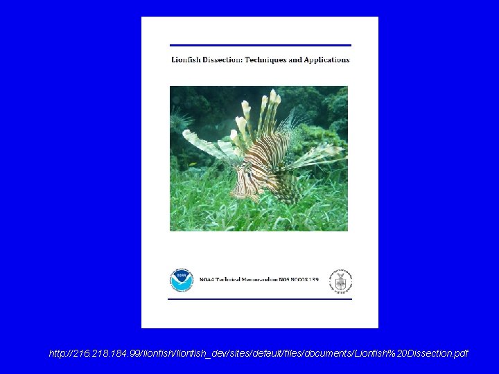 http: //216. 218. 184. 99/lionfish_dev/sites/default/files/documents/Lionfish%20 Dissection. pdf 