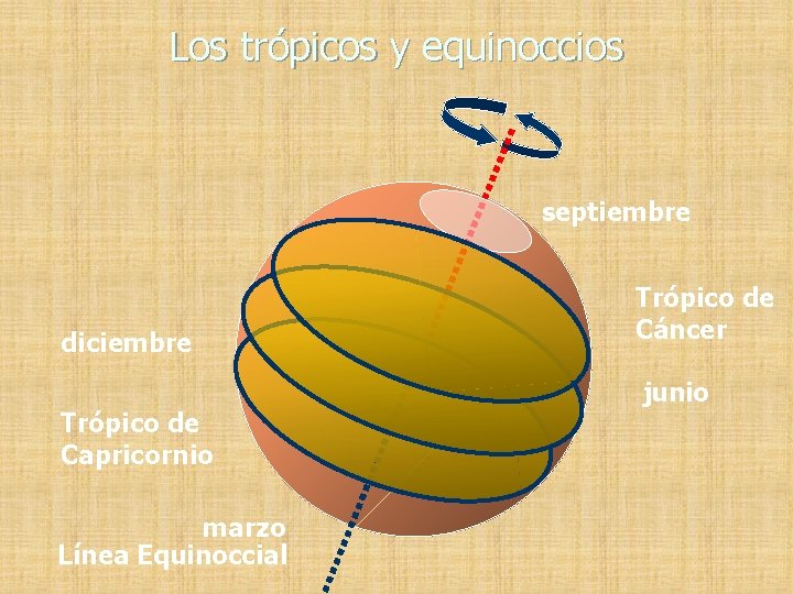 Los trópicos y equinoccios septiembre diciembre Trópico de Capricornio marzo Línea Equinoccial Trópico de