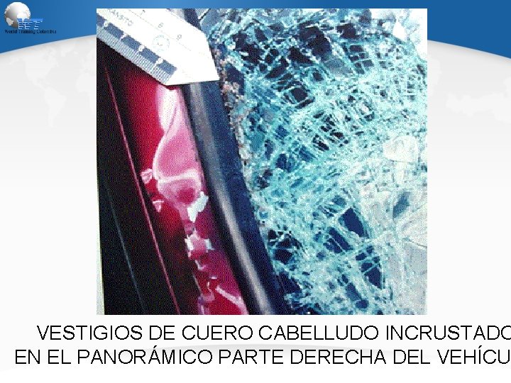 VESTIGIOS DE CUERO CABELLUDO INCRUSTADO EN EL PANORÁMICO PARTE DERECHA DEL VEHÍCU 