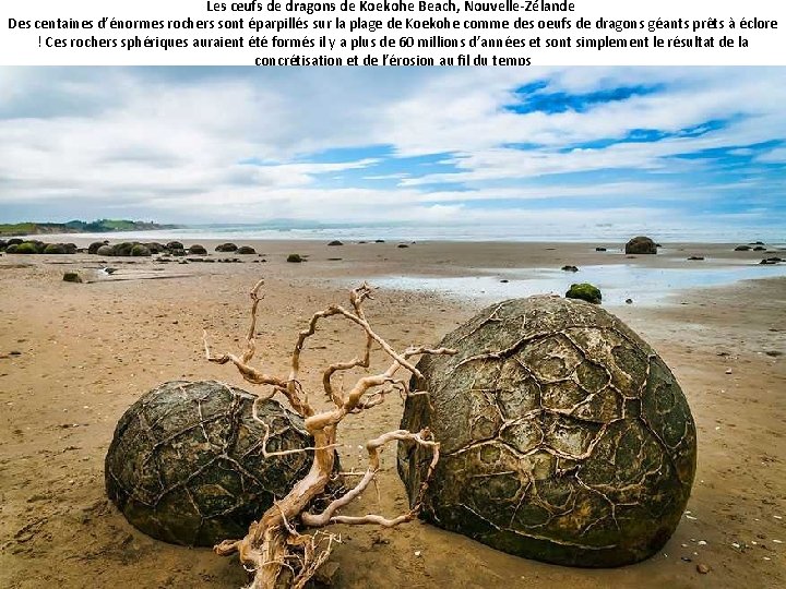 Les œufs de dragons de Koekohe Beach, Nouvelle-Zélande Des centaines d’énormes rochers sont éparpillés