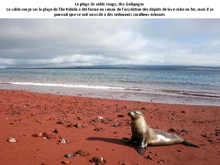 La plage de sable rouge, Iles Galápagos Le sable rouge sur la plage de