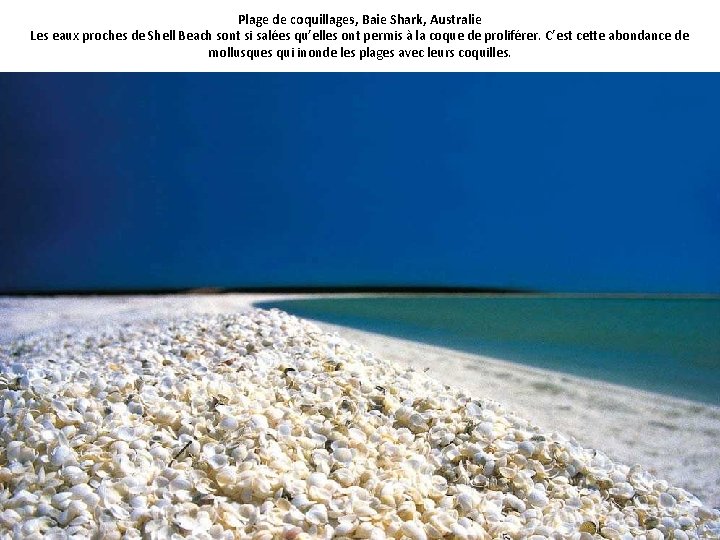 Plage de coquillages, Baie Shark, Australie Les eaux proches de Shell Beach sont si