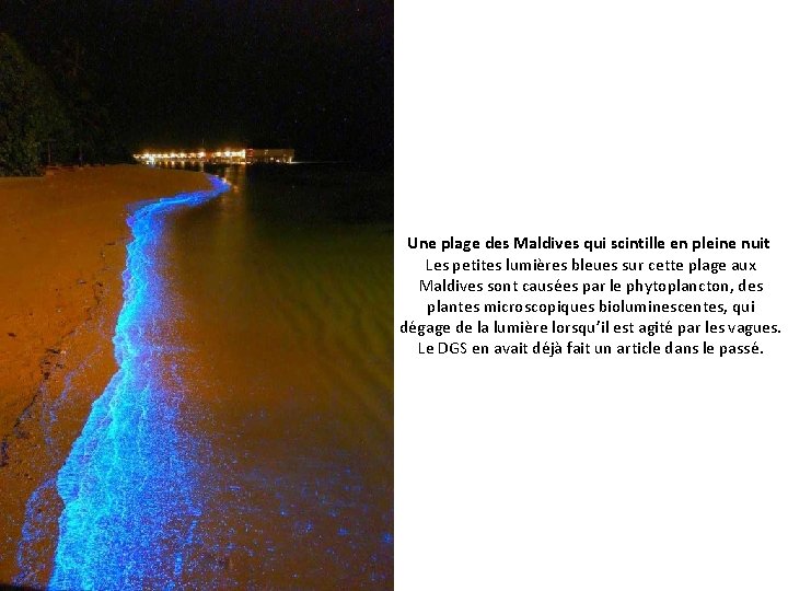 Une plage des Maldives qui scintille en pleine nuit Les petites lumières bleues sur