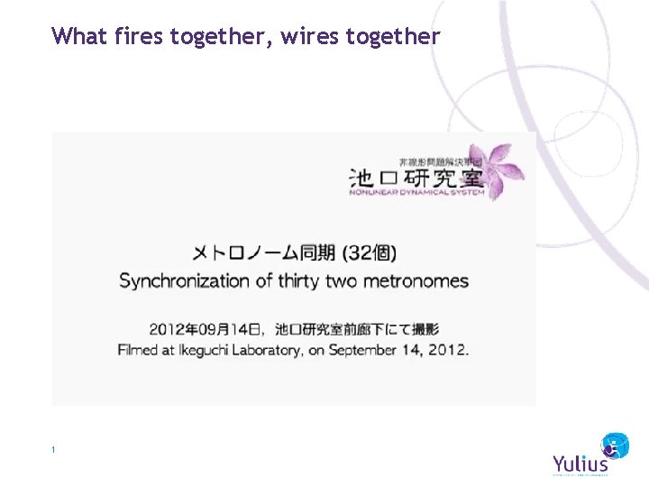 What fires together, wires together 1 