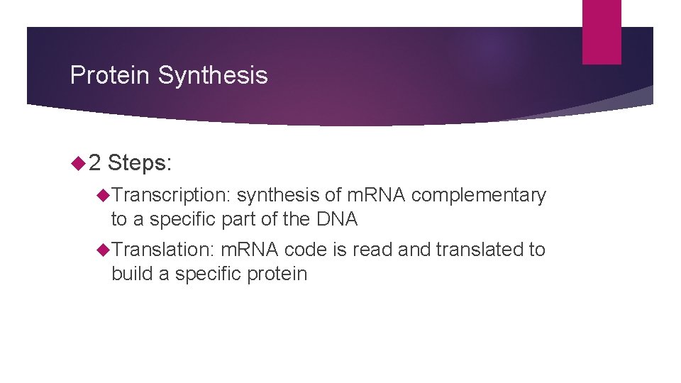 Protein Synthesis 2 Steps: Transcription: synthesis of m. RNA complementary to a specific part