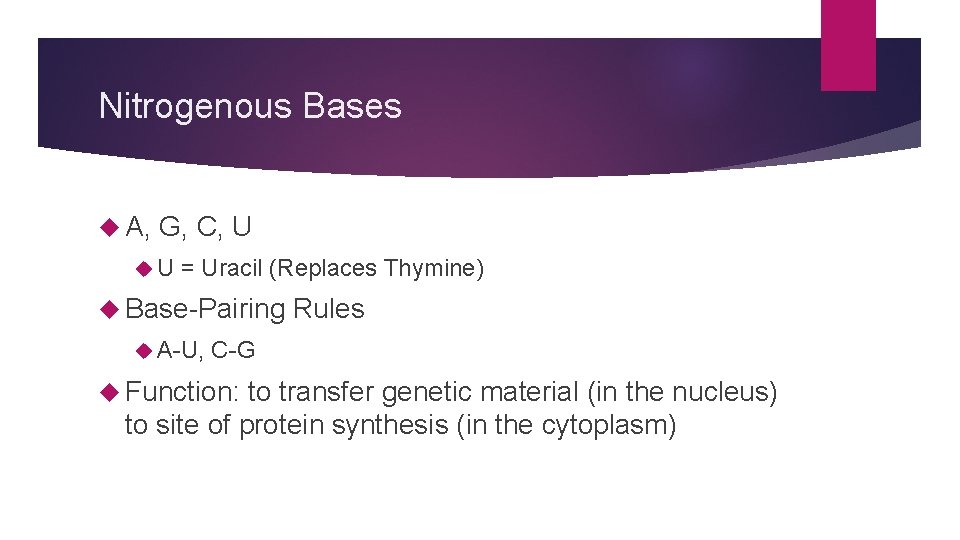 Nitrogenous Bases A, G, C, U U = Uracil (Replaces Thymine) Base-Pairing A-U, Rules