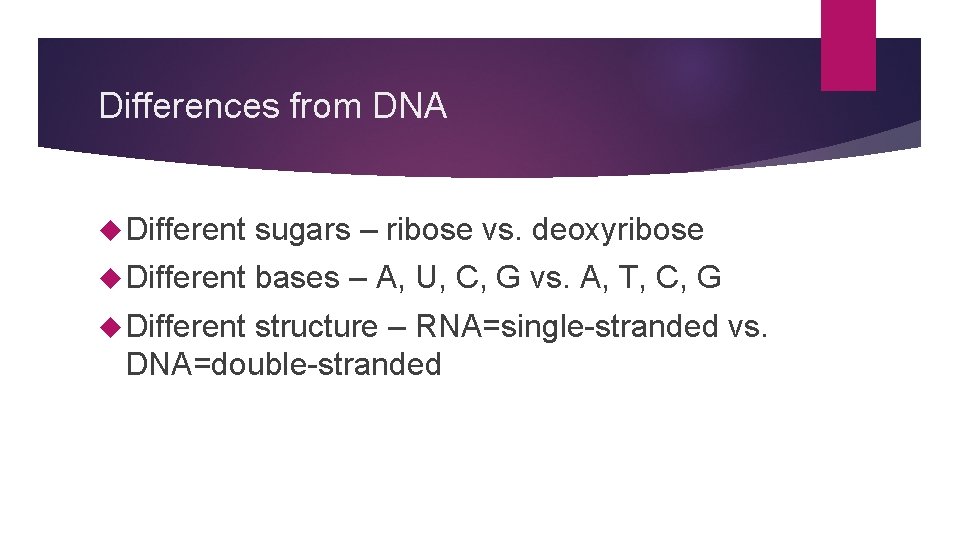 Differences from DNA Different sugars – ribose vs. deoxyribose Different bases – A, U,