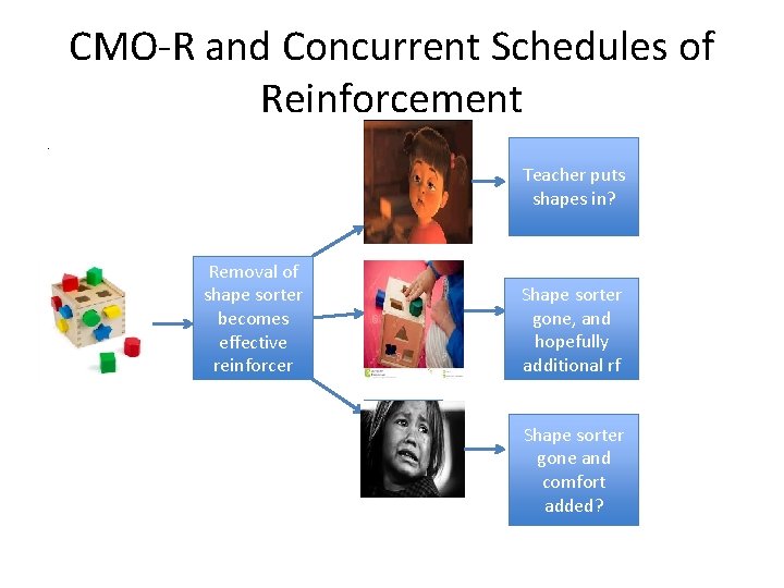 CMO-R and Concurrent Schedules of Reinforcement. Teacher puts shapes in? Removal of shape sorter