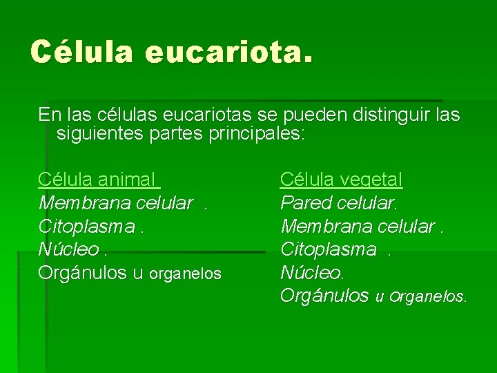 Célula eucariota. En las células eucariotas se pueden distinguir las siguientes partes principales: Célula Célula eucariota. En las células eucariotas se pueden distinguir las siguientes partes principales: Célula