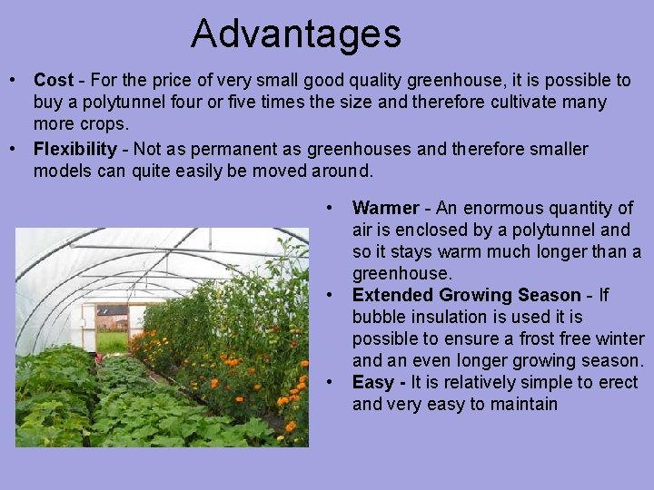 Advantages • Cost - For the price of very small good quality greenhouse, it