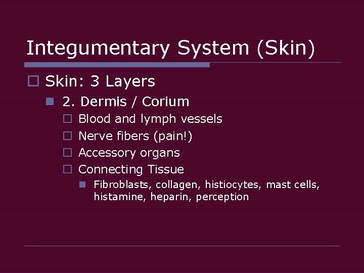 Integumentary System (Skin) o Skin: 3 Layers n 2. Dermis / Corium o o