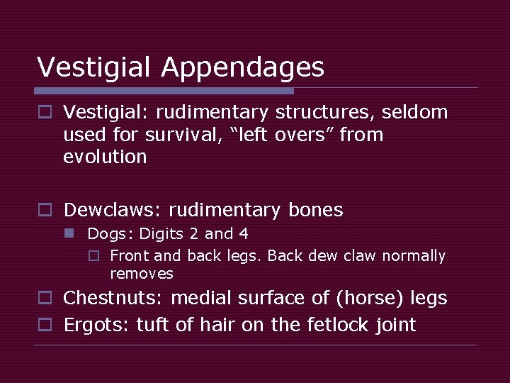 Vestigial Appendages o Vestigial: rudimentary structures, seldom used for survival, “left overs” from evolution