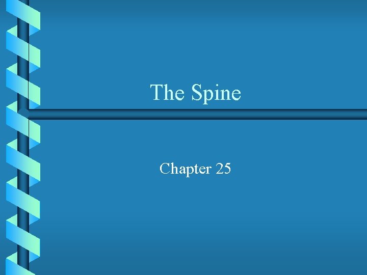 The Spine Chapter 25 