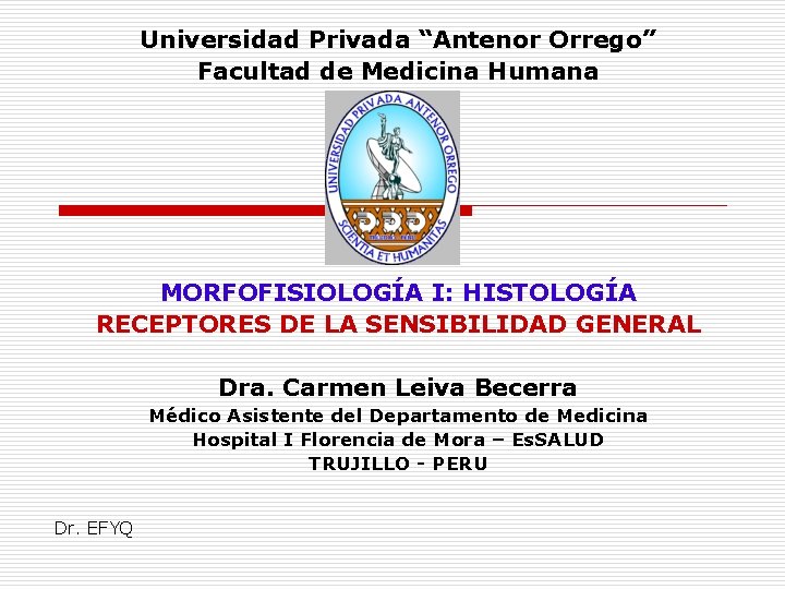 Universidad Privada “Antenor Orrego” Facultad de Medicina Humana MORFOFISIOLOGÍA I: HISTOLOGÍA RECEPTORES DE LA