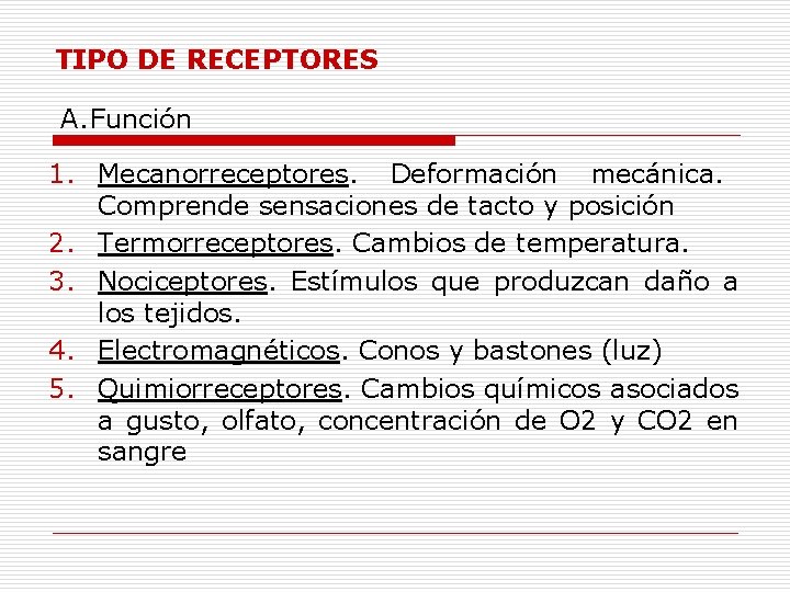 TIPO DE RECEPTORES A. Función 1. Mecanorreceptores. Deformación mecánica. Comprende sensaciones de tacto y
