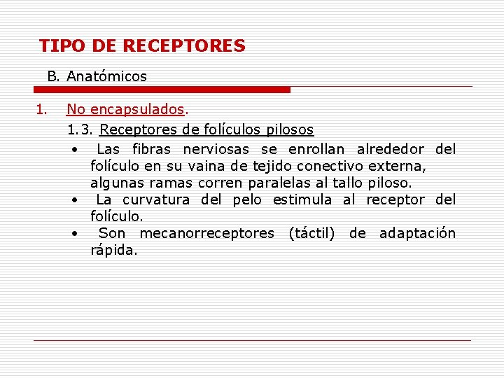 TIPO DE RECEPTORES B. Anatómicos 1. No encapsulados. 1. 3. Receptores de folículos pilosos