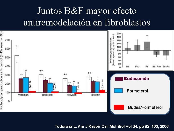 Juntos B&F mayor efecto antiremodelación en fibroblastos Budesonide Formoterol Budes/Formoterol Todorova L. Am J