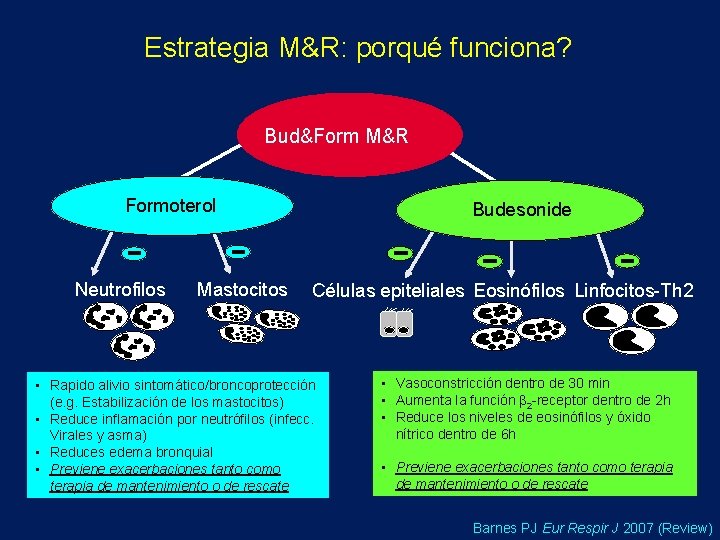 Estrategia M&R: porqué funciona? Bud&Form M&R Formoterol Neutrofilos Mastocitos Budesonide Células epiteliales Eosinófilos Linfocitos-Th