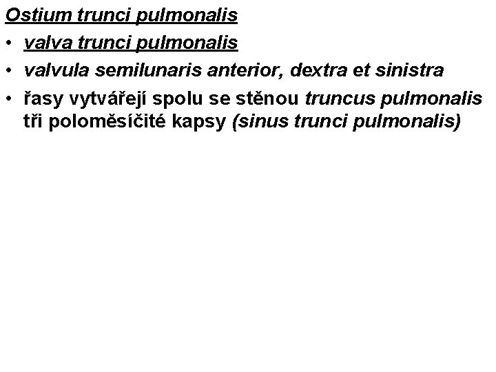 Ostium trunci pulmonalis • valva trunci pulmonalis • valvula semilunaris anterior, dextra et sinistra