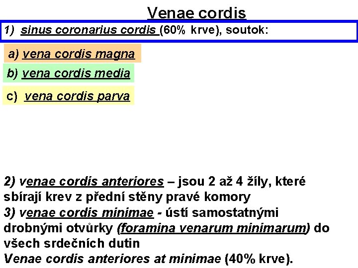 Venae cordis 1) sinus coronarius cordis (60% krve), soutok: a) vena cordis magna b)